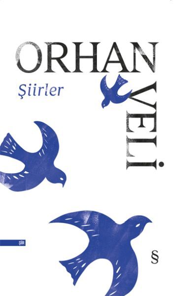 Şiirler Ciltli