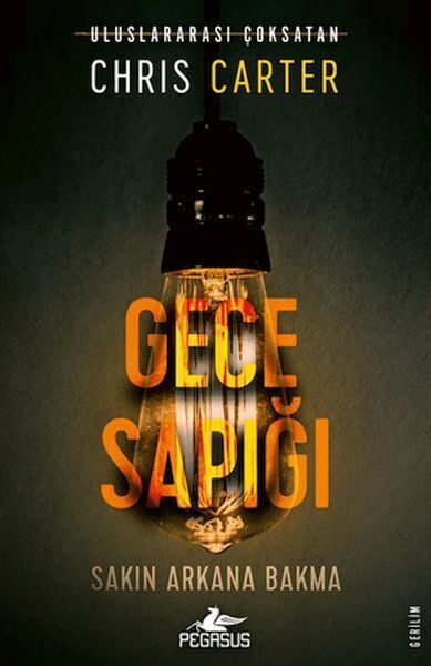 Gece Sapığı Robert Hunter 3
