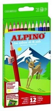 Alpino Kuru Boya Tam Boy 12 Renk