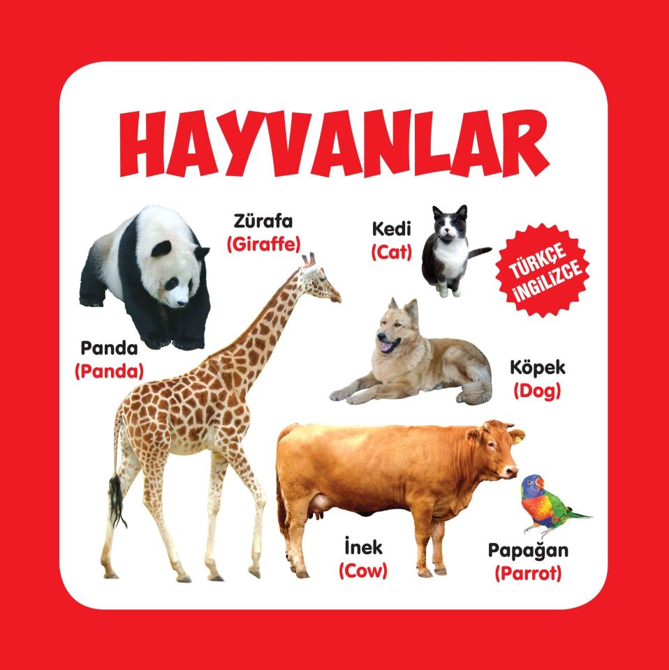 Hayvanlar Türkçe İngilizce