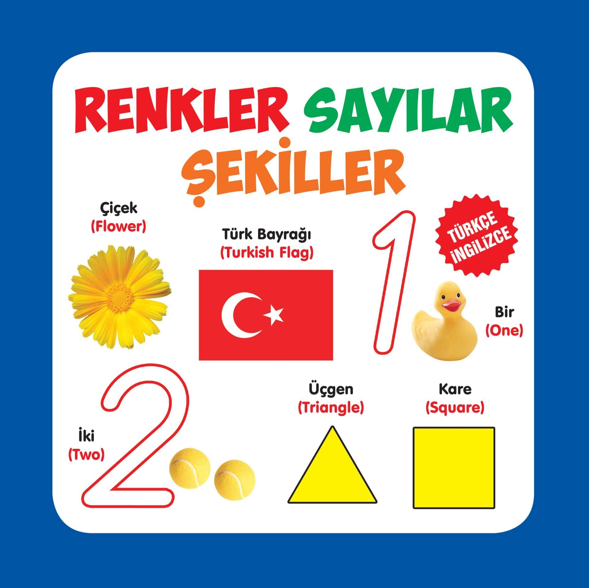 Renkler Sayılar Şekiller Türkçe İngilizce