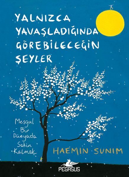 Yalnızca Yavaşladığında Görebileceğin Şeyler Ciltli