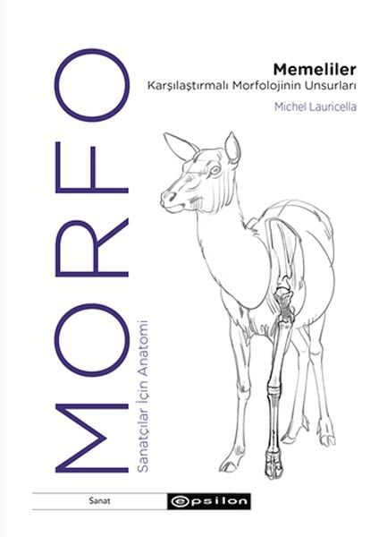 Morfo Memeliler Karşılaştırmalı Morfolojinin Unsurları