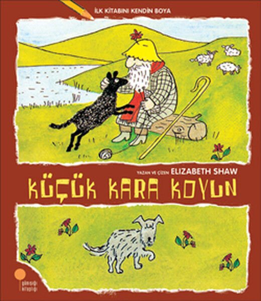 İlk Kitabını Kendin Boya Küçük Kara Koyun