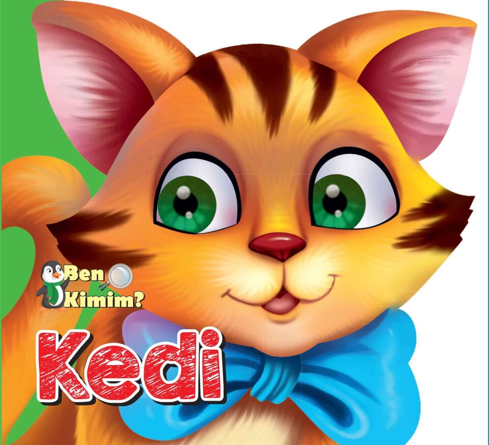 Ben Kimim Kedi