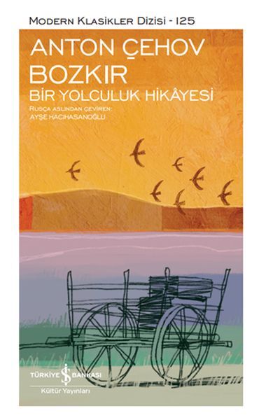 BOZKIR - BİR YOLCULUK HİKÂYESİ - SERT KAPAK