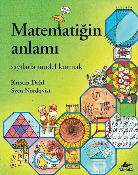 Matematiğin Anlamı Sayılarla Model Kurmak