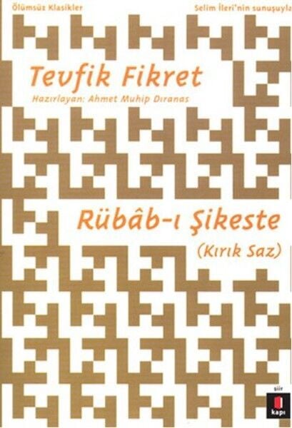 Rübab ı Şikeste Kırık Saz