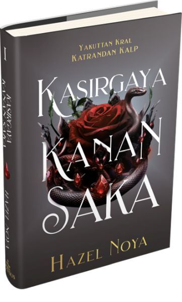 Kasırgaya Kanan Saka 1 Ciltli