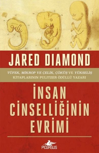 İnsan Cinselliğinin Evrimi Ciltsiz