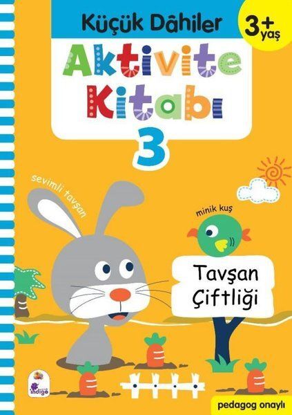 Küçük Dahiler Aktivite Kitabı 3 3 Yaş