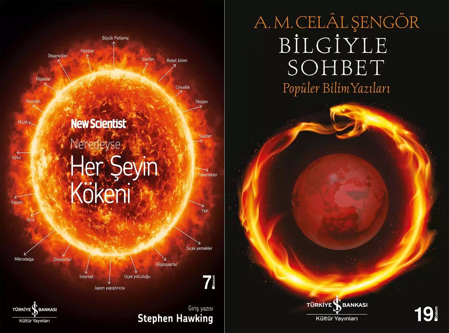 Bilgiyle Sohbet / Neredeyse Her Şeyin Kökeni