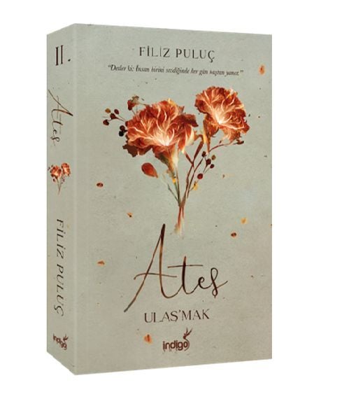 Ateş 2. Kitap Ulaş'mak