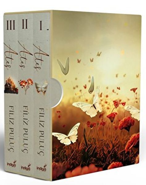 Ateş Serisi 3 Kitap Kutulu Ciltli