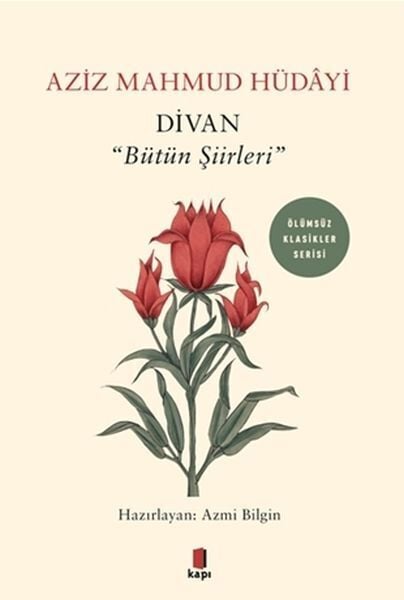 Divan Bütün Şiirleri
