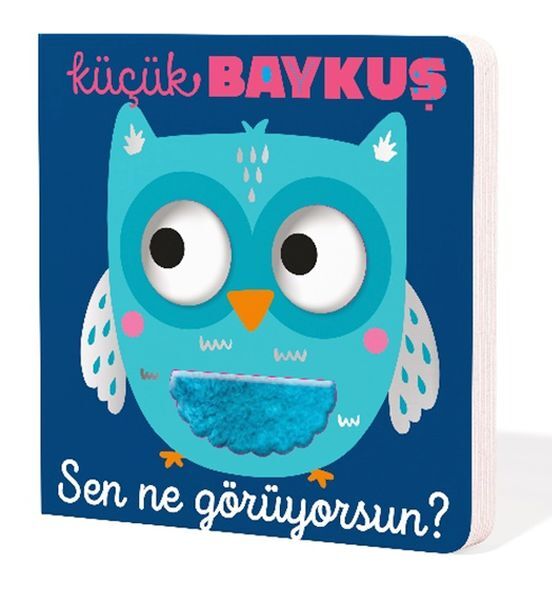 Küçük Baykuş Sen Ne Görüyorsun
