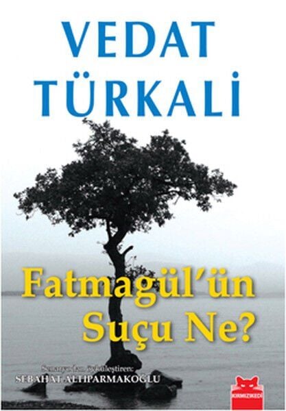 Fatmagül'ün Suçu Ne