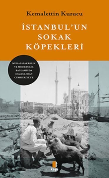 İstanbulun Sokak Köpekleri