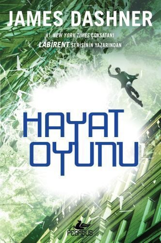 SanalAğ 3 Hayat Oyunu