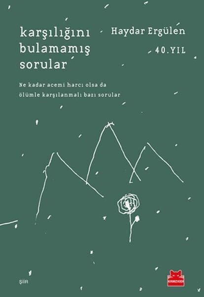 Karşılığını Bulamamış Sorular