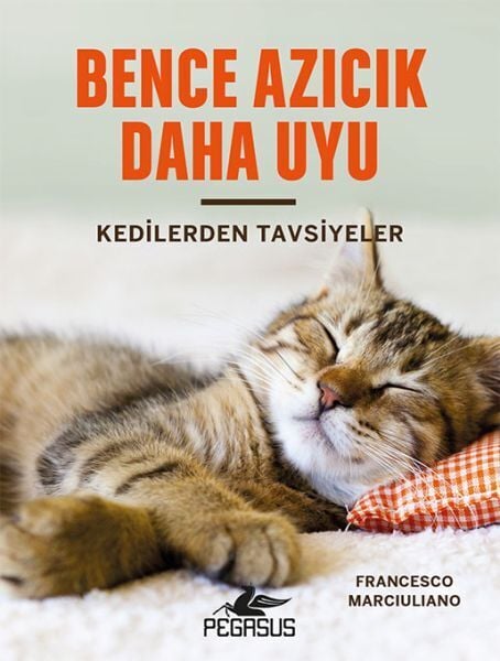 Bence Azıcık Daha Uyu Kedilerden Tavsiyeler Ciltli